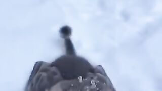 Животние