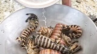 Cooking mantis shrimp