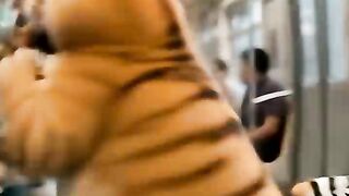 How dare the orange cat steal the tiger's child