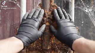 Rolls Royce Phantom II