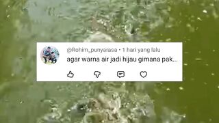 JURUS air kolam HIJAU ALAMI tahan lama TANPA BAU