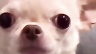 Funny face