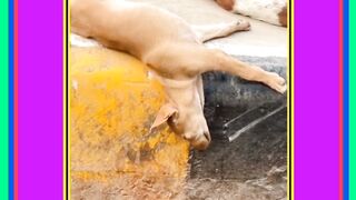 نشہ یہ پیار کا نشہ ہے ????????????