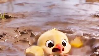 Chick and rabbit story