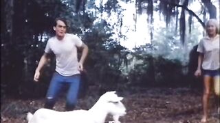 Sixteen (1973) - 2