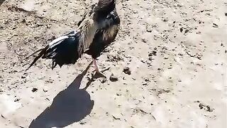 More views