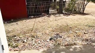 When Alexander and Princess were away, two of their cats were there to greet us.
