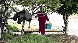 Strange secrets between stray cats and the food box