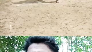 Committing funny video 2026