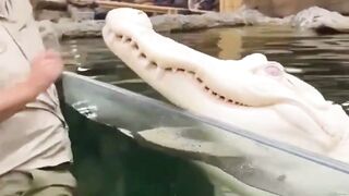 unexpected events in everyday life