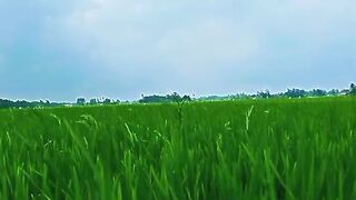 Menikmati hijaunya karya tuhan