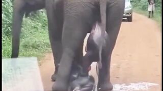 A Rare Miracle on the Roadside