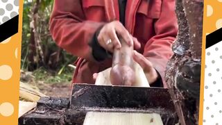 harus banget pake itu emangnya ? ????