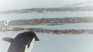 Maine kahe parha tha