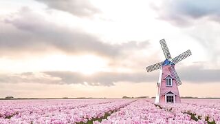 Nature’s Wonders That Take Your Breath Away