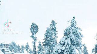 Pakistan swat view