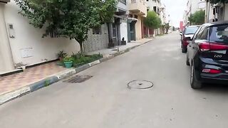 A cute stray cat needed some help.