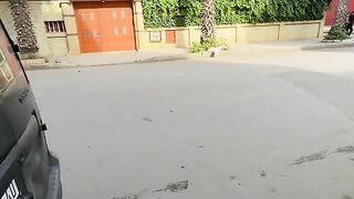 The white stray cat got angry when I was late to serve food.