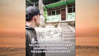 sama seperti kehidupan