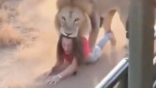 Wildlife Encounter Turns Dangerous