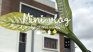 Mini vlog