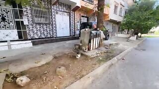 The stray kittens woke up and ran towards us when they sensed our arrival.