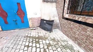 Very cute fluffy kittens, living with their mother in a cardboard box, very hungry.