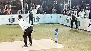 Committing funny video 2026