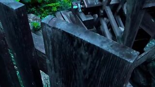 naturephotogray