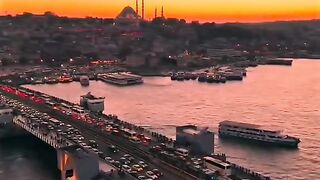 Turkey lovers