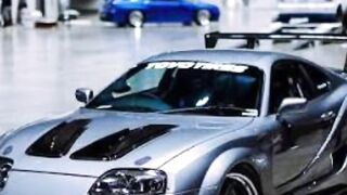 Car lover