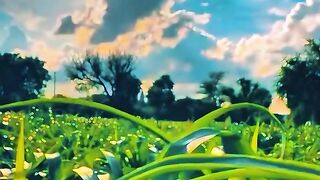 The Never-Ending Beauty of God's Creation