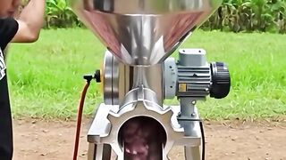 grinding anaconda meat