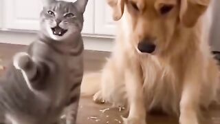 Just for fun ????????????????????