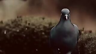 B9999
