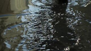 Percy Jackson S01E05 FRENCH