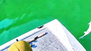 Sometimes Fish, Sometimes Peace