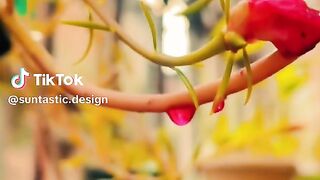 Beautiful Latest Stylish Fancy Dress Design 2026