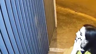 “Funny Dog Attacks Woman in Cage | Unexpected & Hilarious Moment”