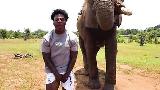 Ishowspeed does backflip of an elephant during irl stream