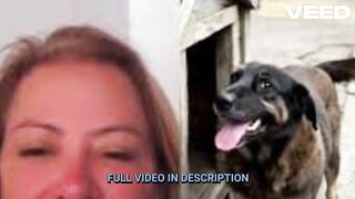 o que fizeram com o cachorro orelha