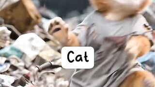 CAT CRYING
