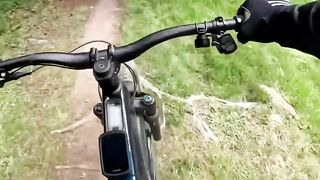 Seconds from Disaster: Cyclist Almost Hit by a Falling Tree