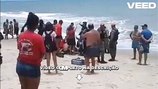 [Full] ataque de tubarão portal zacarias portal zacarias tubarao portal zacarias ataque de tubarão em pernambuco