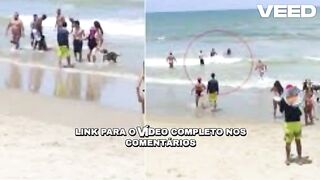 [Full] ataque de tubarão portal zacarias portal zacarias tubarao portal zacarias ataque de tubarão em pernambuco