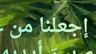 اللهم إجعلنا من عبادك الذين يسعي نورهم بين أيديهم ولاخوف عليهم ولاهم يحزنون.