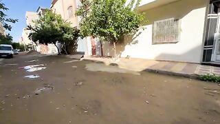 The friendly stray cat went sweetly to greet the food lady.