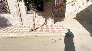 Cute white stray cat wants to be loved by all passersby.