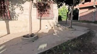 Every time more stray cats will come to us and ask us for love and food.