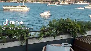 Turkey lovers